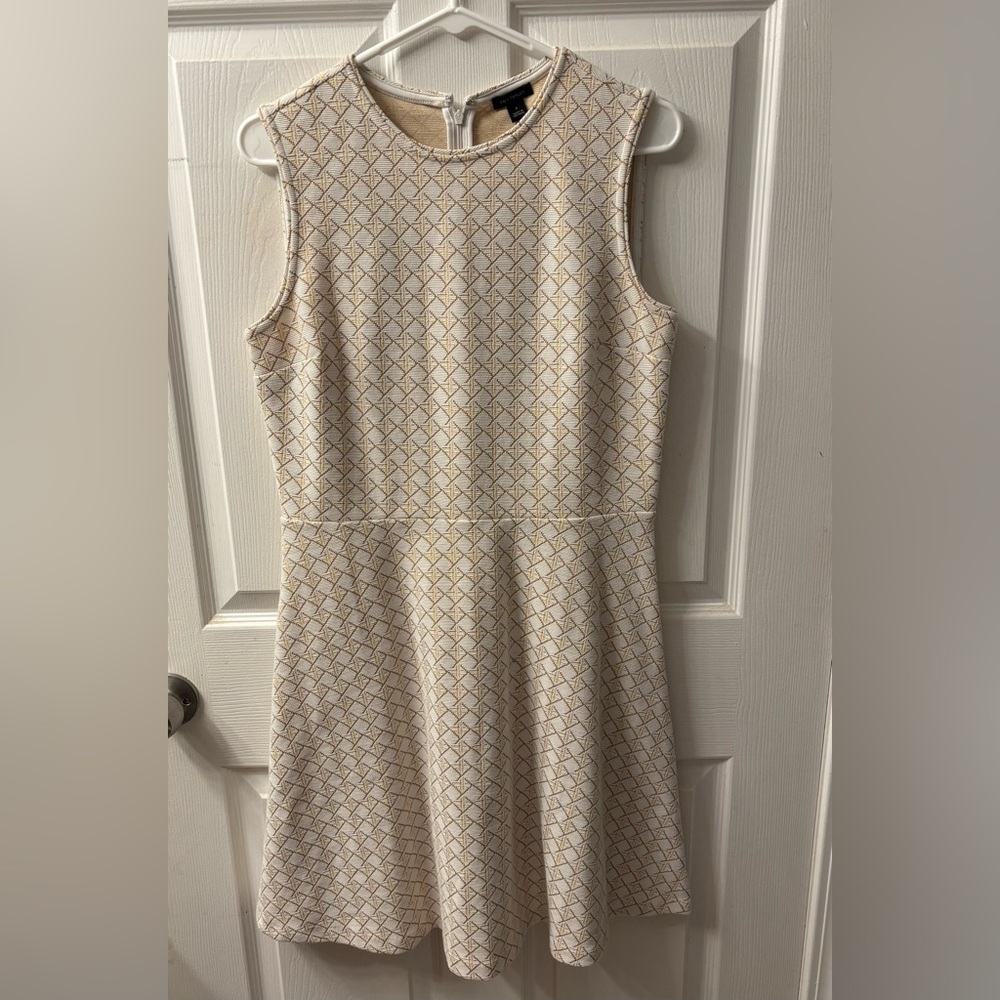 Ann Taylor Dress